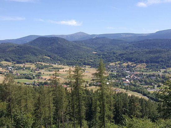 Zamek księcia Henryka